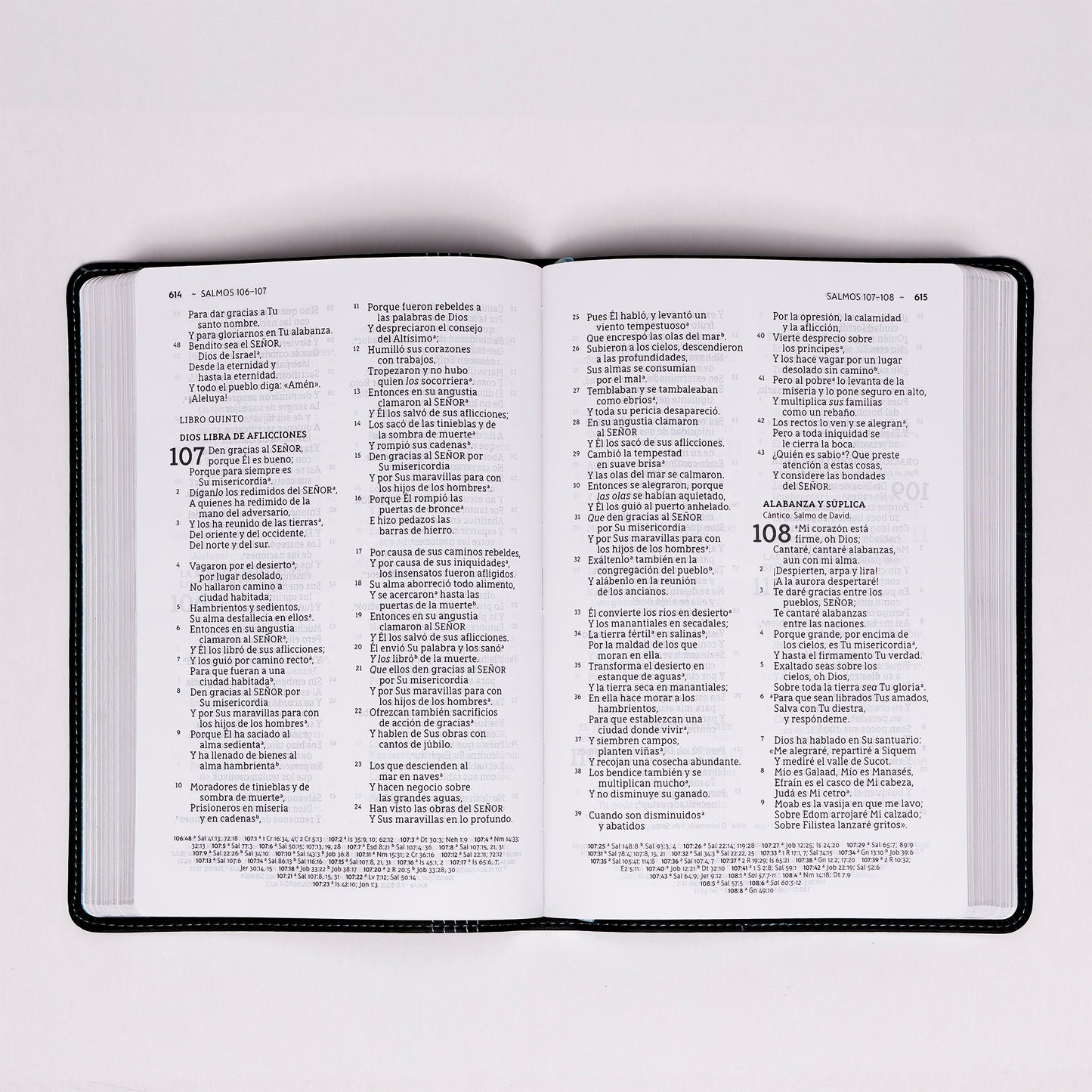 Biblia delgada, letra grande NBLA