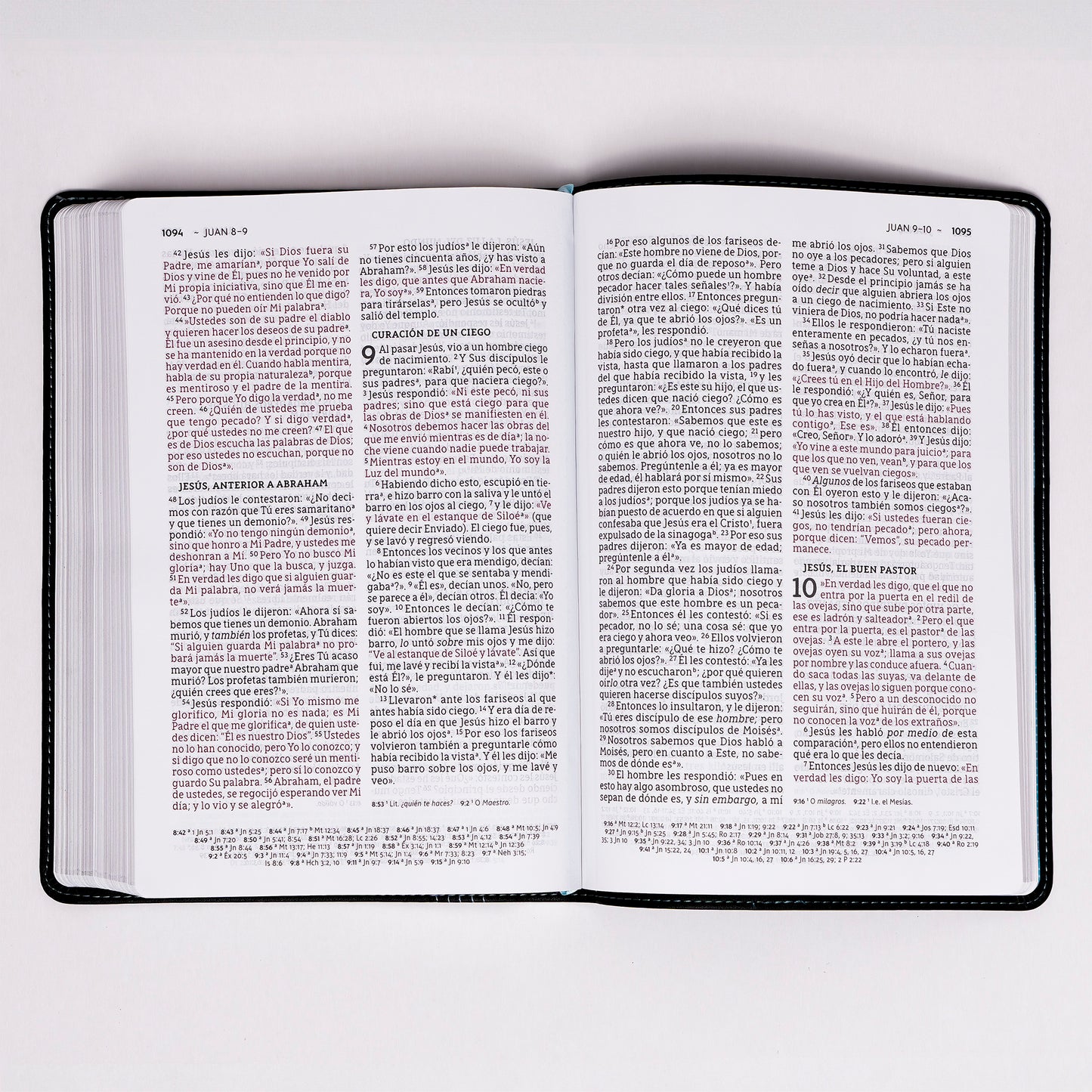 Biblia delgada, letra grande NBLA
