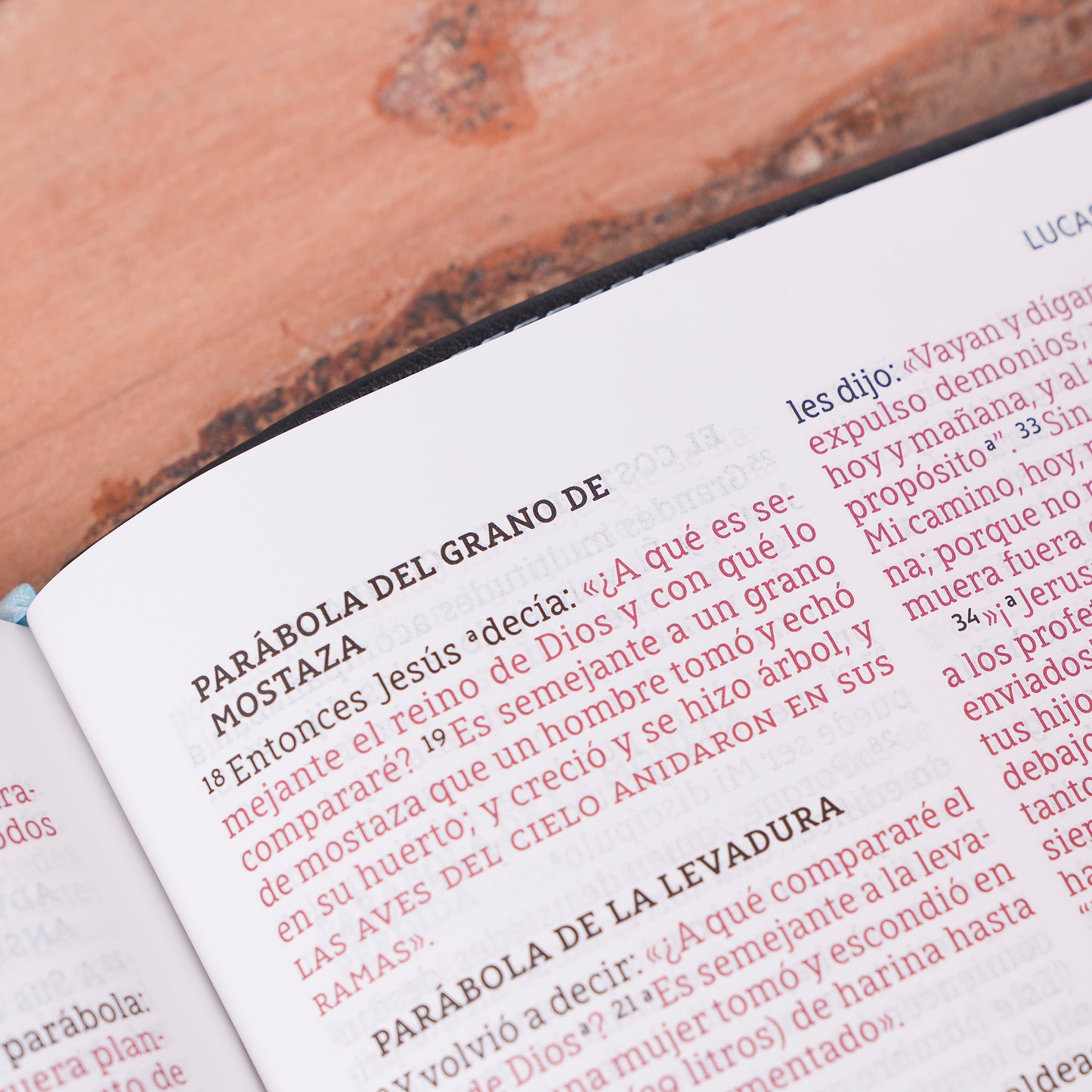Biblia delgada, letra grande NBLA