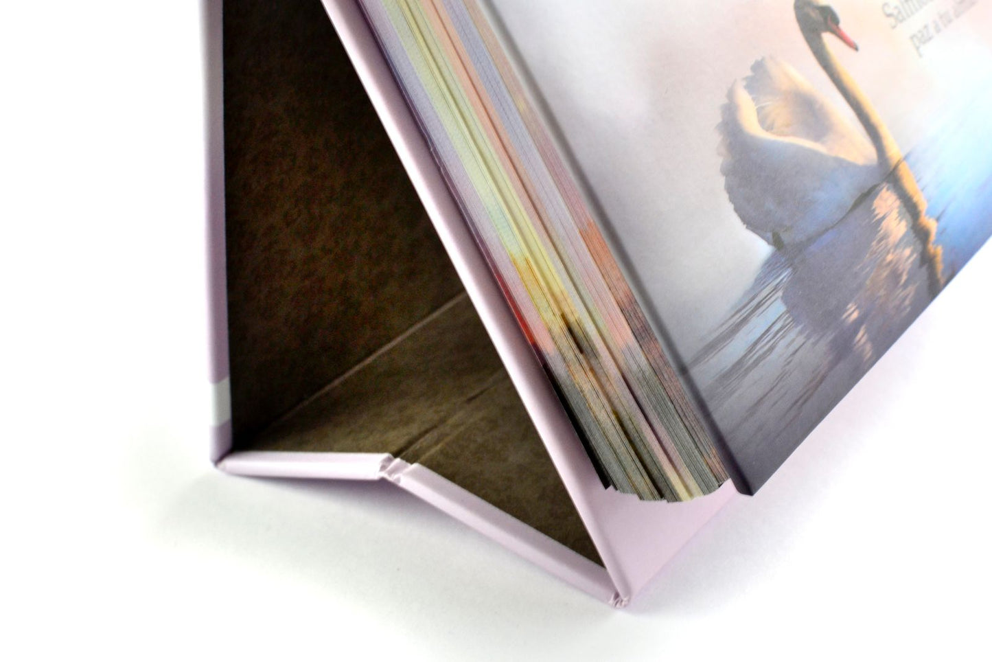 Calendario Perpetuo Aguas de Reposo.