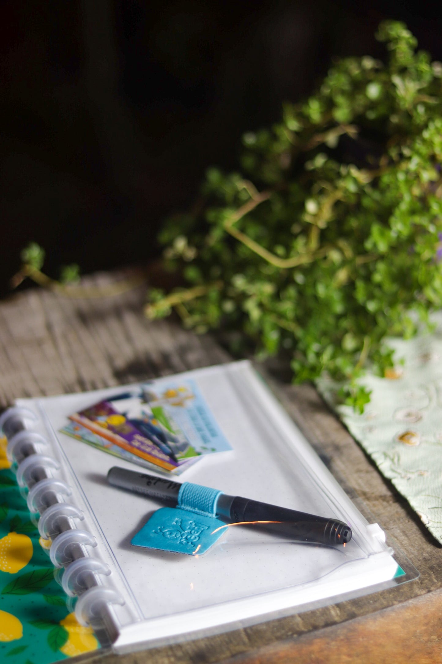 Cuaderno Cáctus/Limones CU22C