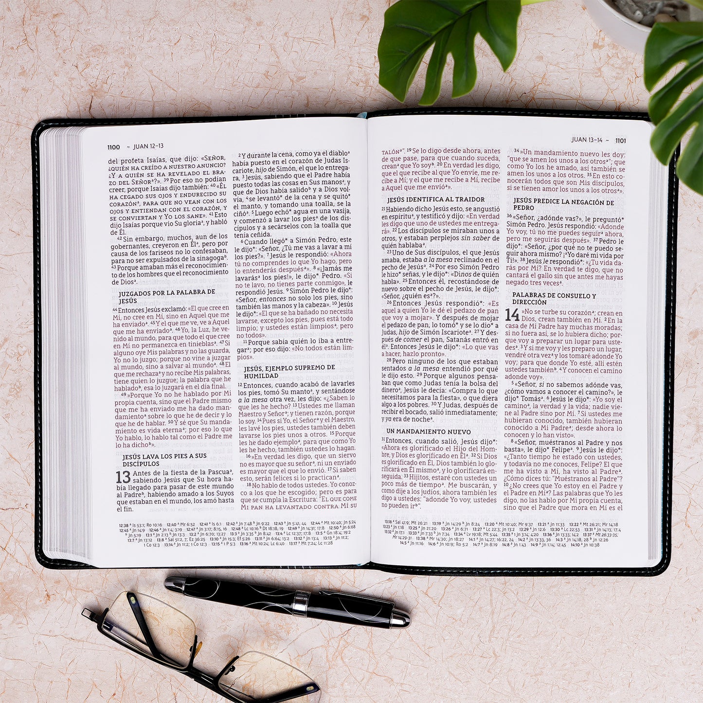 Biblia delgada, letra grande NBLA