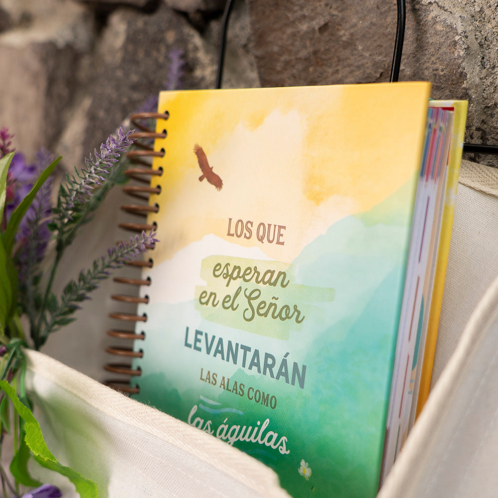Agenda Nuevas Fuerzas, anillada.